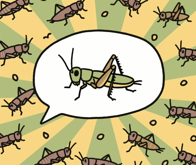 The Six-Legged Superfood Revolution: Why Edible Bugs Are Crawling Into Mainstream Cuisine